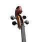 Axiom Concerto Series Cello - 4/4 Size