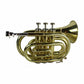 Axiom Pocket Trumpet Outfit - School Trumpet